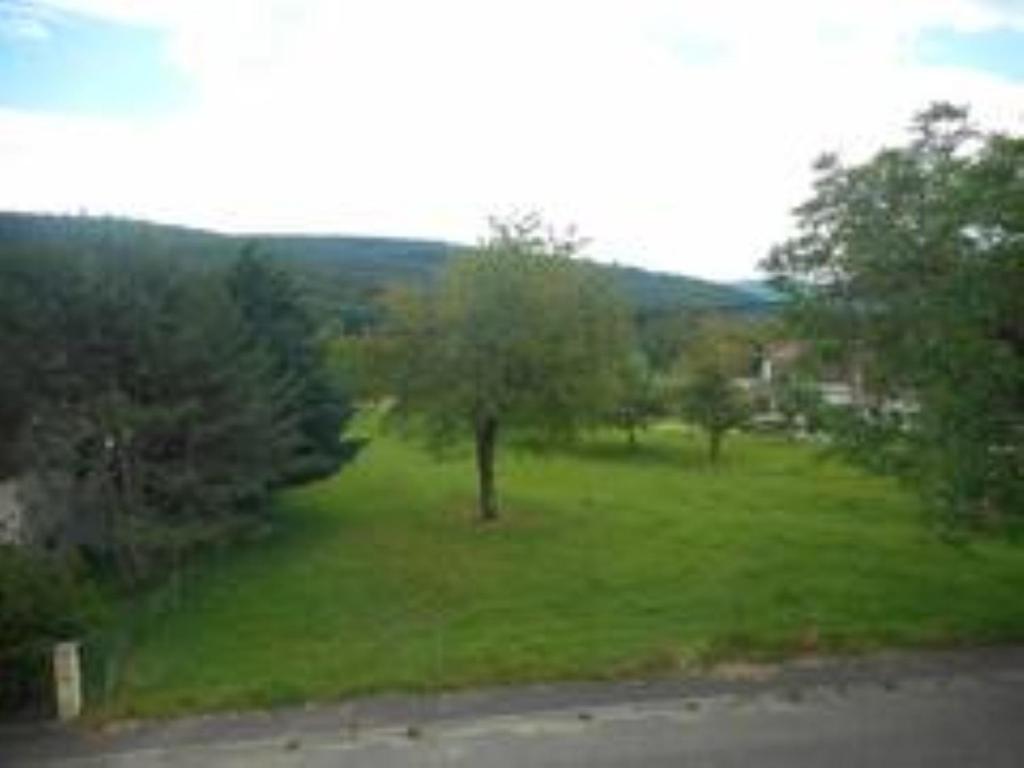 Gite Spacieux, Lumineux Et Tres Cosy Lautenbach Exterior photo