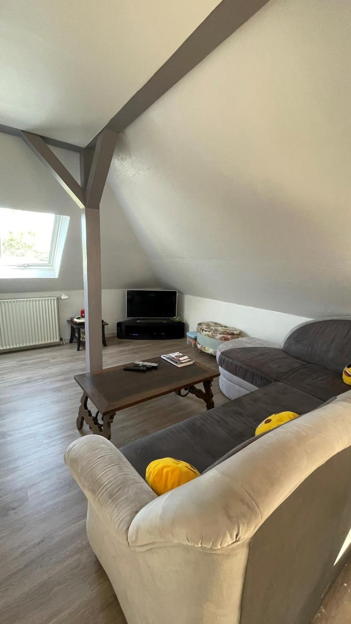 Gite Spacieux, Lumineux Et Tres Cosy Lautenbach Exterior photo