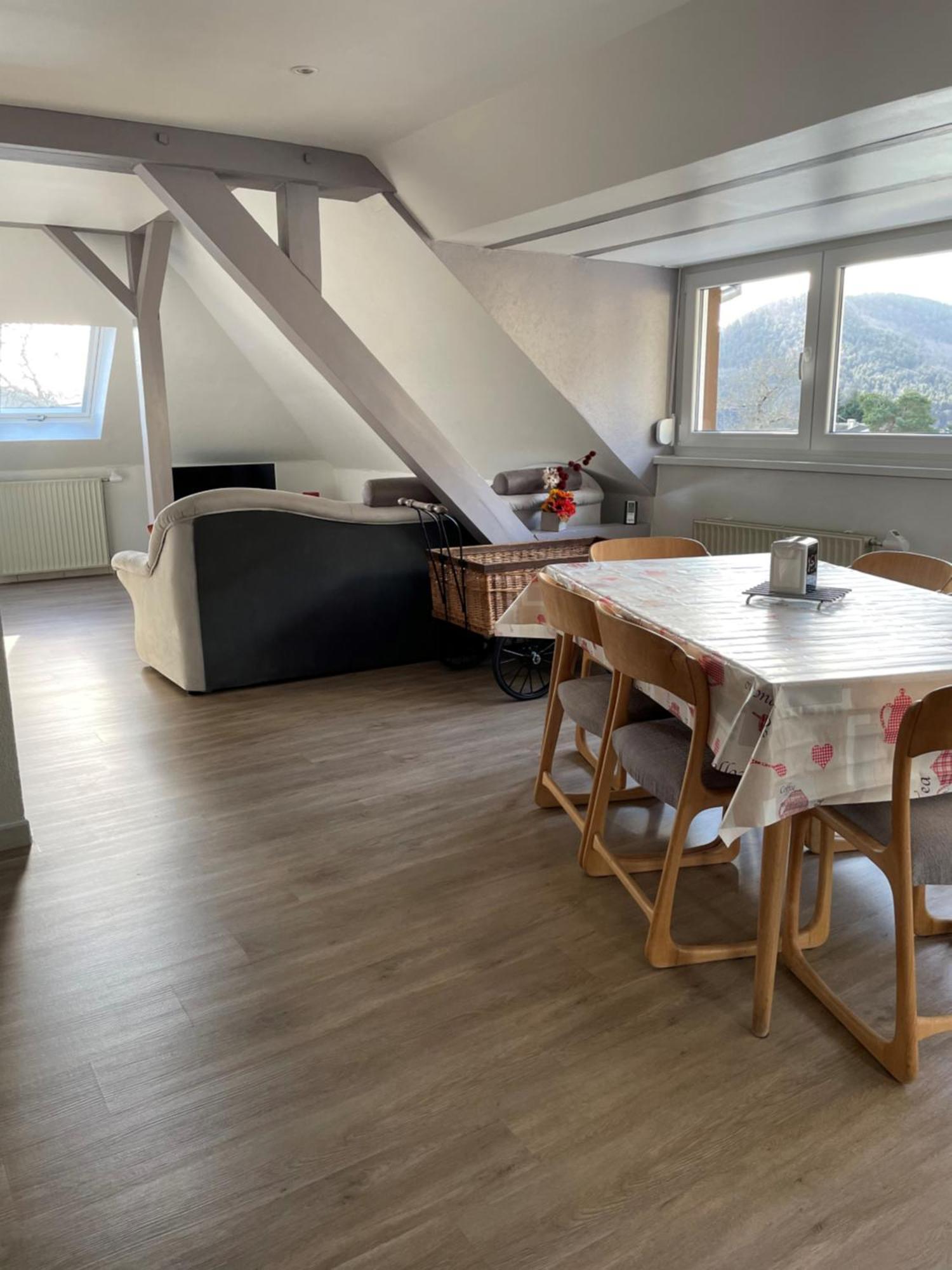 Gite Spacieux, Lumineux Et Tres Cosy Lautenbach Exterior photo